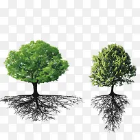 树木素材-空若网 树木素材-空若网