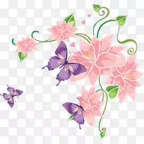 蝴蝶花百合-空若网 蝴蝶花百合-空若网