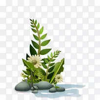 水生植物剪贴画-空若网 水生植物剪贴画-空若网