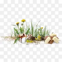 �ѹ�Ӣ���ɿ���-������