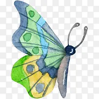 彩色漂亮蝴蝶-空若网 彩色漂亮蝴蝶-空若网