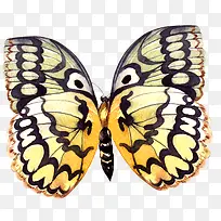 �ֻ��ɫƯ������-������