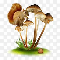 ��ͨ�ֻ�-������