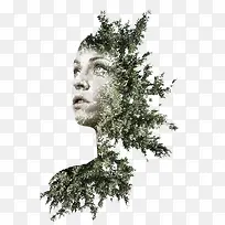 ��������������廭-������