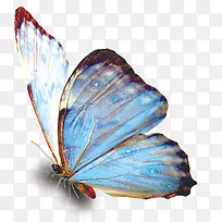 ��ɫ�ĺ���-������