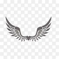 翱翔的翅膀-空若网 翱翔的翅膀-空若网