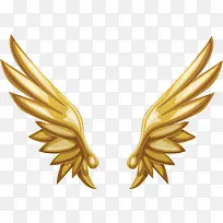 金光闪闪的翅膀-空若网 金光闪闪的翅膀-空若网