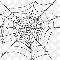 ��ͨͼƬ֩����-������