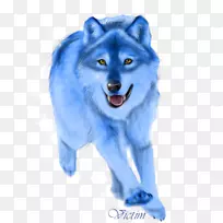 狗,犬科,鼻子,食肉-蓝狼-空若网 狗,犬科,鼻子,食肉-蓝狼-空若网