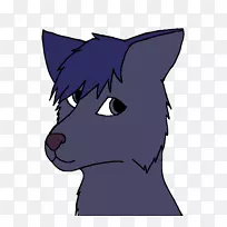 猫小胡须鼻子蓝狼-空若网 猫小胡须鼻子蓝狼-空若网