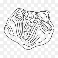 �ֻ��ɫ����ʳ��-������