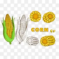 手绘的玉米食物素材-空若网 手绘的玉米食物素材-空若网