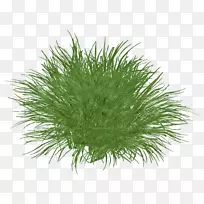 香茅油-柠檬草-空若网 香茅油-柠檬草-空若网