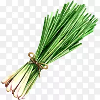 柠檬草-免费剪贴画-柠檬草-空若网 柠檬草-免费剪贴画-柠檬草-空若网