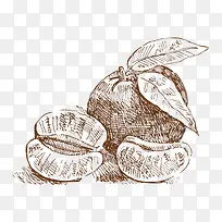 手绘-空若网 手绘-空若网