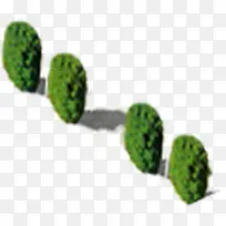 鸟瞰绿色植物大树-空若网 鸟瞰绿色植物大树-空若网