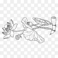 ˯���߸�png��ͼ-������