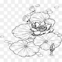 手绘简笔画睡莲-空若网 手绘简笔画睡莲-空若网