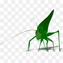 蚂蚁与蚱蜢剪贴画的影子效应-空若网 蚂蚁与蚱蜢剪贴画的影子效应-空若网