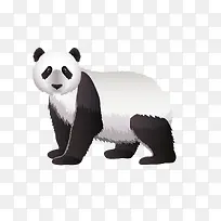 卡通熊猫-空若网 卡通熊猫-空若网