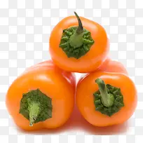 ��ɫ����-������