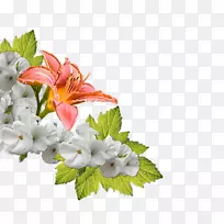 婚礼邀请花束-唐菖蒲-空若网 婚礼邀请花束-唐菖蒲-空若网