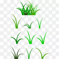 ��Ƭ����ͼ�������.��ͨ��-������