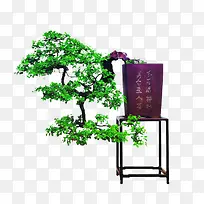 树-空若网 树-空若网