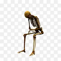 骨骼-空若网 骨骼-空若网