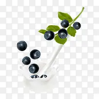 矢量叶子水果-空若网 矢量叶子水果-空若网