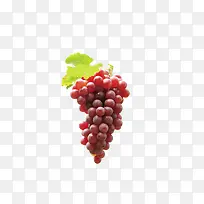 水果-空若网 水果-空若网