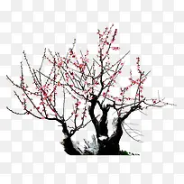 梅花独自-空若网 梅花独自-空若网