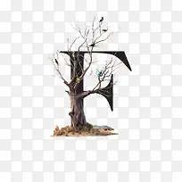 字母F-空若网 字母F-空若网