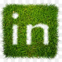 草Grass-web20-icons-空若网 草Grass-web20-icons-空若网