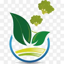 生菜蔬菜-空若网 生菜蔬菜-空若网