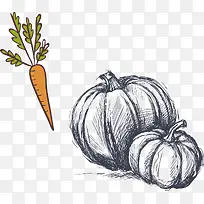 精选蔬菜-空若网 精选蔬菜-空若网