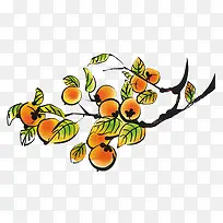 Ë®¹ûÊÁ×Ó-¿ÕÈôÍø Ë®¹ûÊÁ×Ó-¿ÕÈôÍø