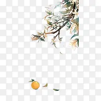 水彩贴边柿子树树叶-空若网 水彩贴边柿子树树叶-空若网