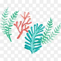 世界海洋日一堆海草-空若网 世界海洋日一堆海草-空若网