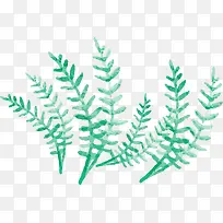 世界海洋日绿色海草-空若网 世界海洋日绿色海草-空若网