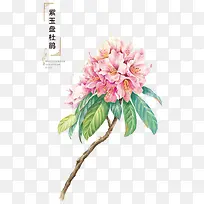 �ֻ滨��-������