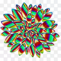 �����������-��ʯ-������