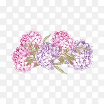 粉色紫色的花束-空若网 粉色紫色的花束-空若网