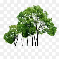 ��������-������