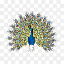 ��ͨ�ɰ�С����װ����ƶ���ͷ��-������