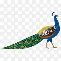 ��ͨ�ɰ�С����װ����ƶ���ͷ��-������