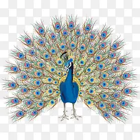 һֻ��ȸ-������