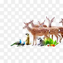 可爱清新动物装饰图案-空若网 可爱清新动物装饰图案-空若网