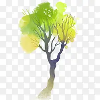 树-空若网 树-空若网