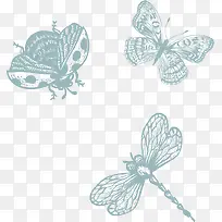 矢量昆虫图片-空若网 矢量昆虫图片-空若网